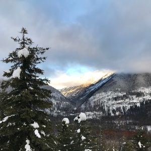 Meet your Posher, Ariel